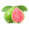 Sweet Guava flavour concentrate - Capella